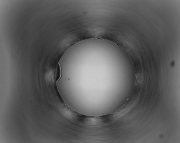 X0000101400286200807141204