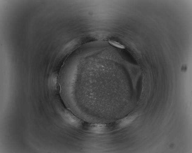 X0000101400288200807141204