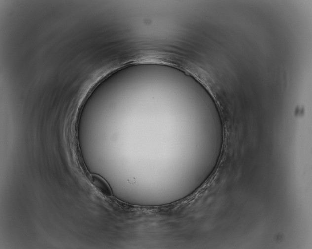 X0000101400289200807141203