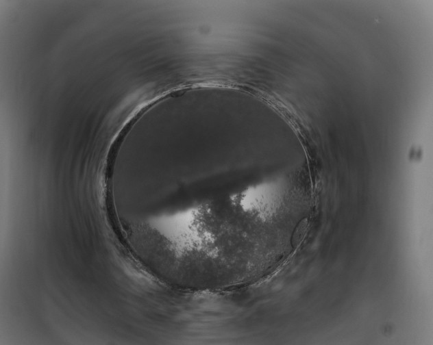 X0000101400290200807141203