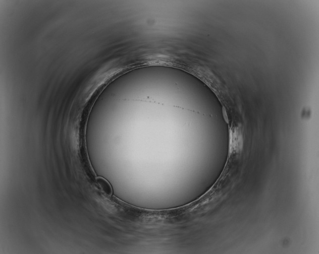 X0000101400291200807141203