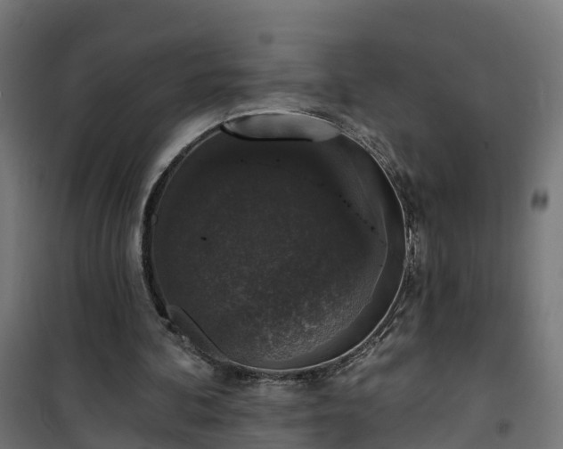 X0000101400292200807141203