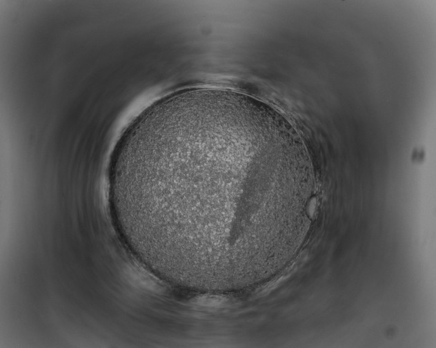 X0000101400294200807141203