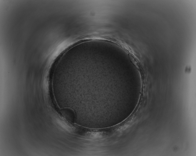 X0000101400295200807141203