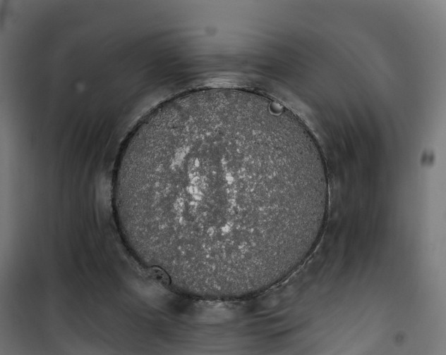 X0000101400297200807141203