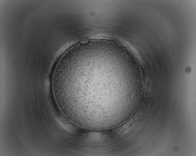 X0000101400298200807141203