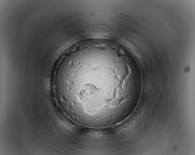 X0000101400299200807141203