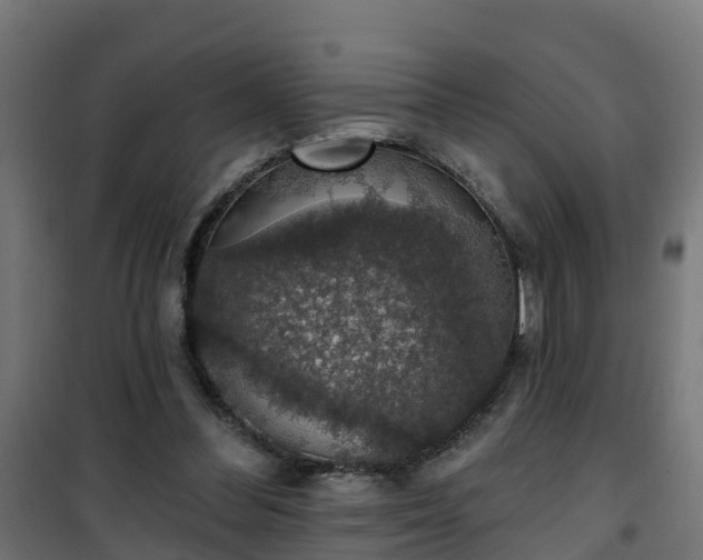 X0000101400300200807141203