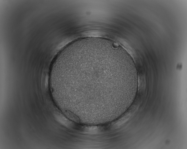 X0000101400301200807141203