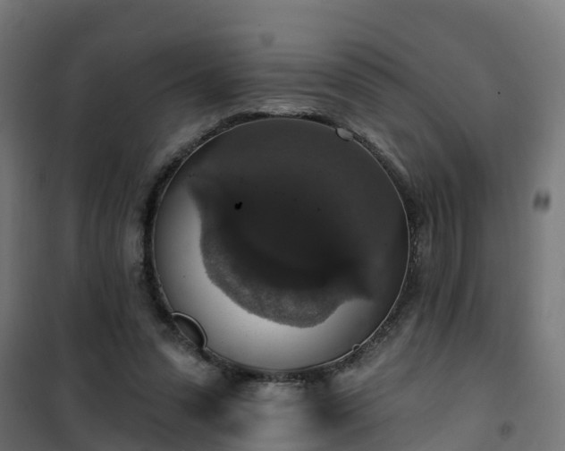 X0000101400303200807141203