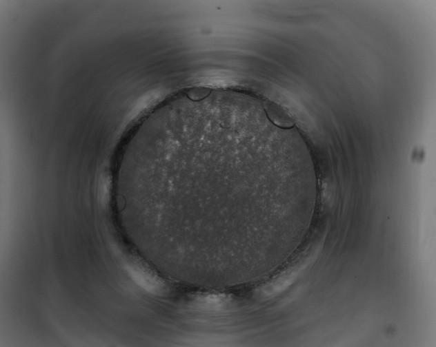 X0000101400304200807141203