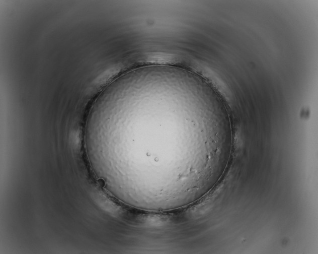 X0000101400305200807141203