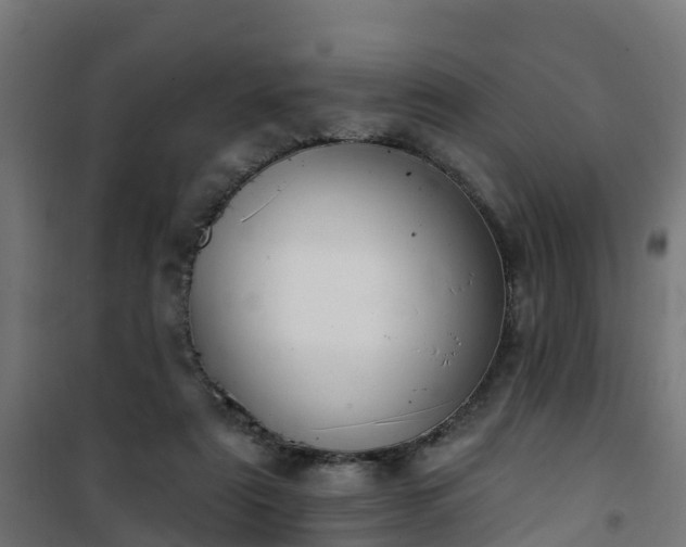 X0000101400307200807141203