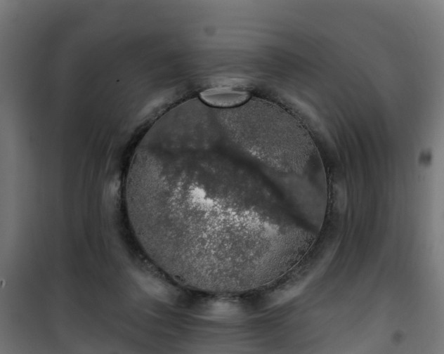 X0000101400308200807141203