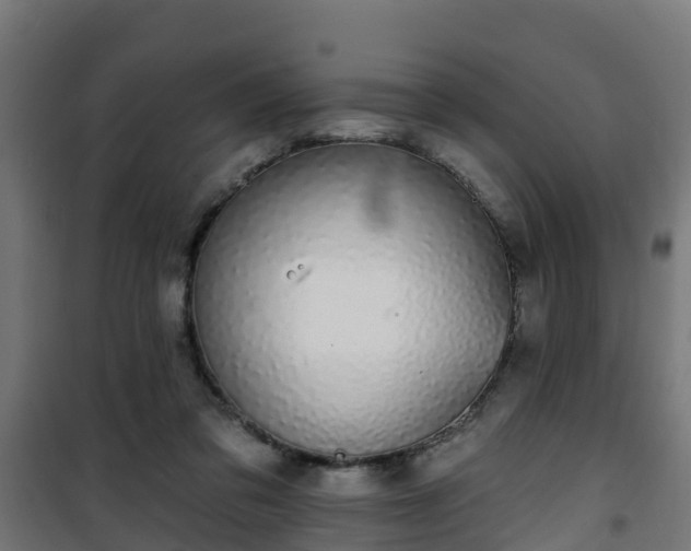 X0000101400309200807141203