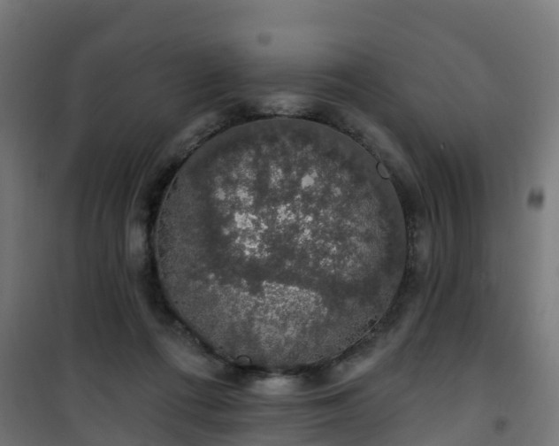 X0000101400312200807141203