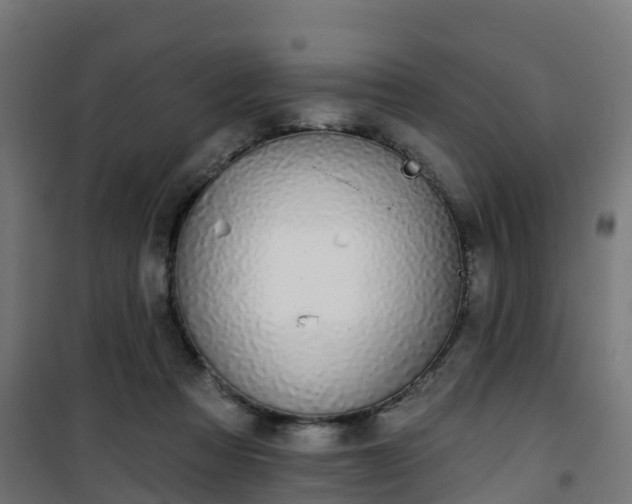 X0000101400313200807141203