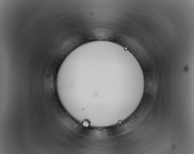 X0000101400317200807141203