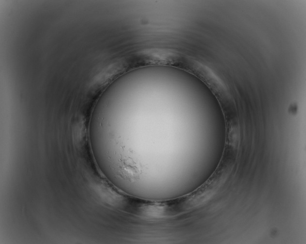 X0000101400318200807141203