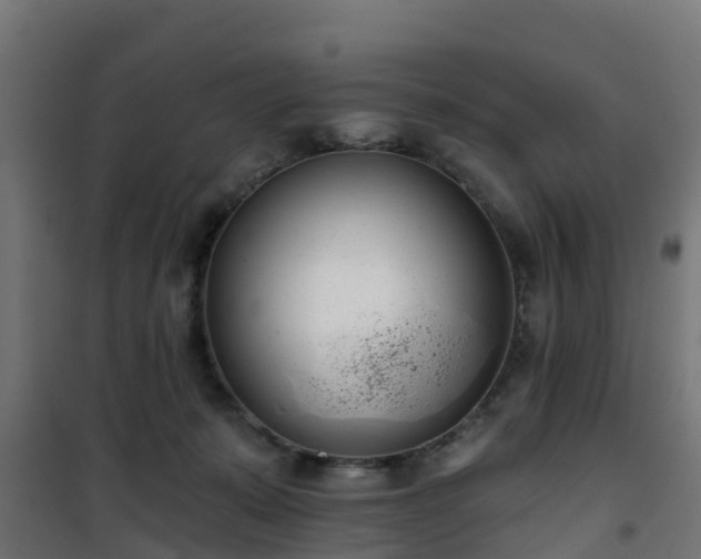 X0000101400319200807141203