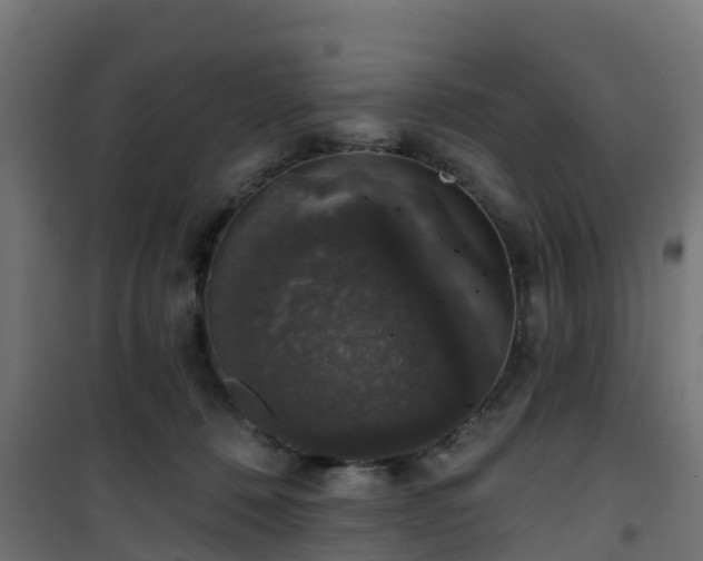 X0000101400320200807141203