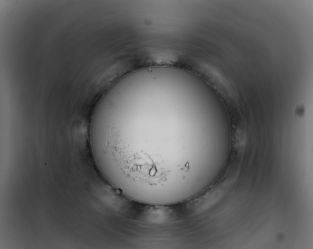 X0000101400321200807141203