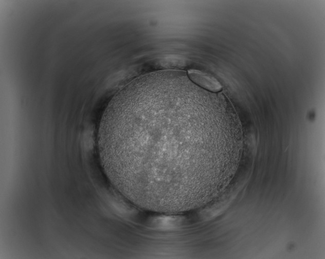 X0000101400323200807141203