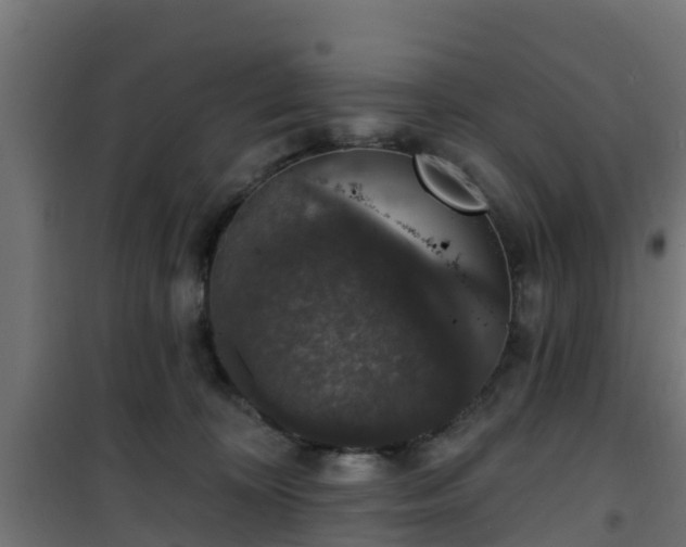 X0000101400324200807141203