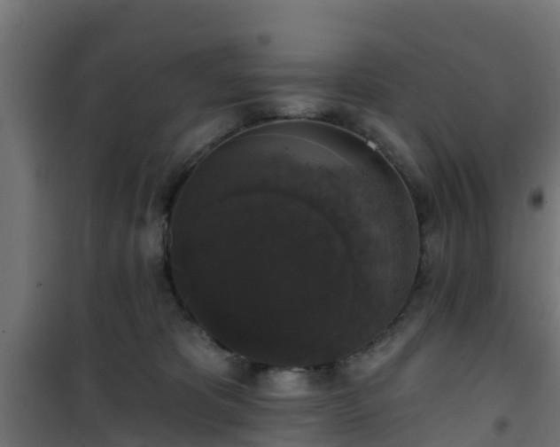 X0000101400325200807141203