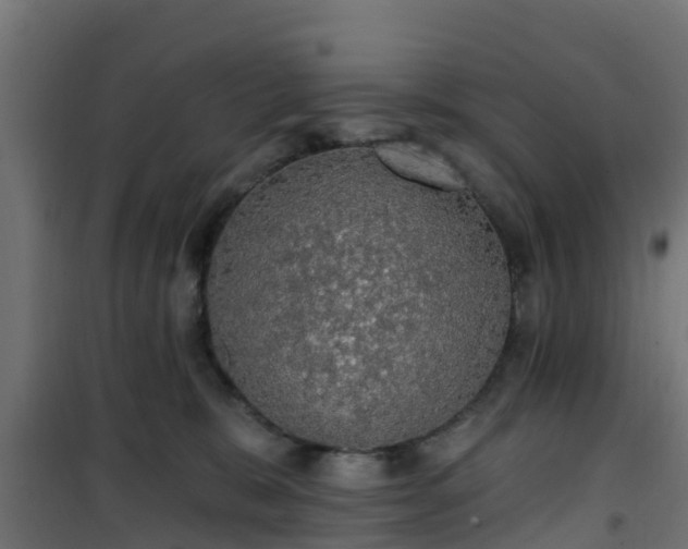 X0000101400327200807141203