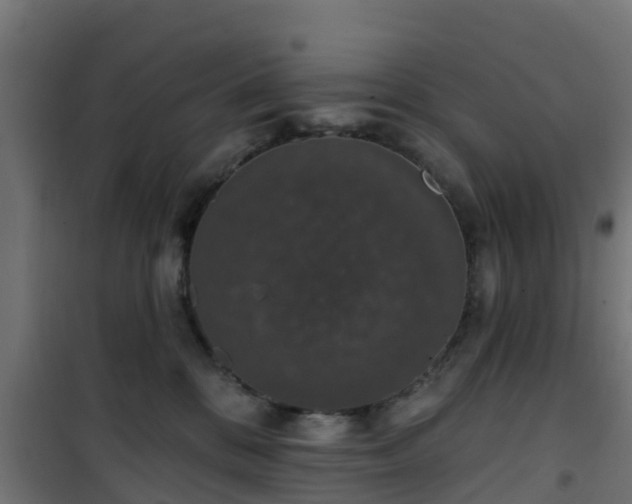 X0000101400328200807141203