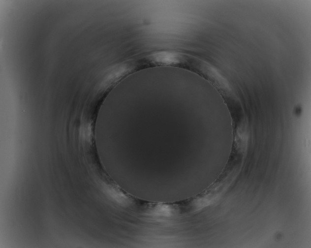 X0000101400330200807141203