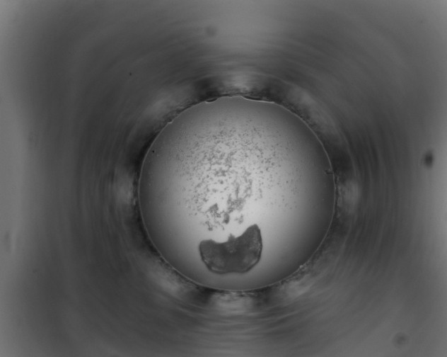 X0000101400331200807141203