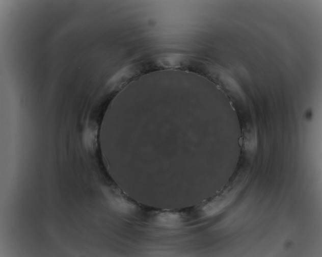 X0000101400332200807141203