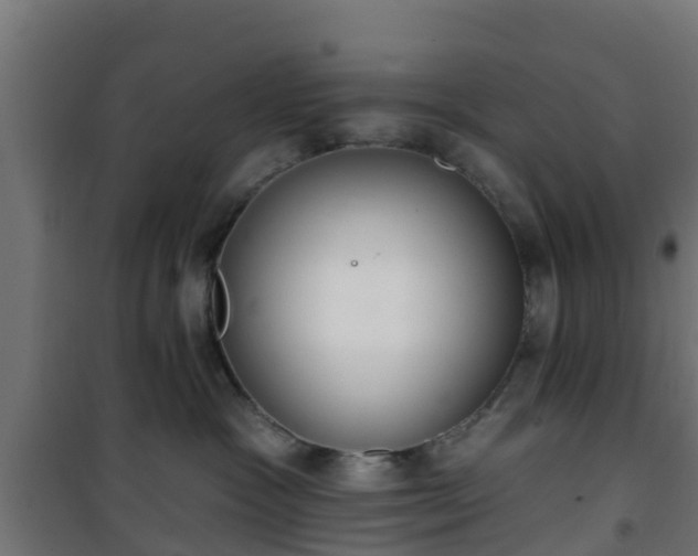 X0000101400333200807141203