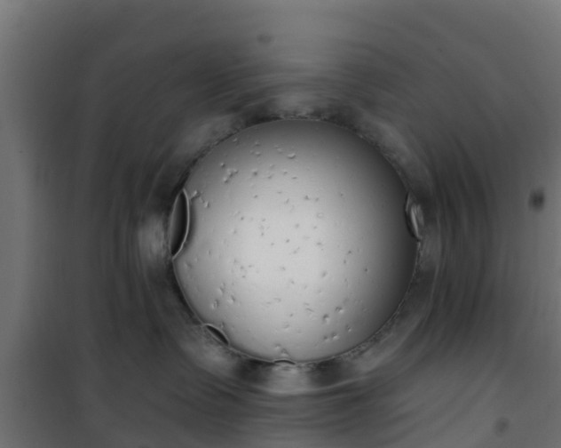 X0000101400335200807141202