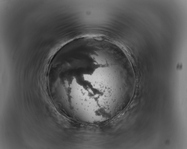 X0000101400337200807141202