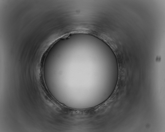 X0000101400338200807141202