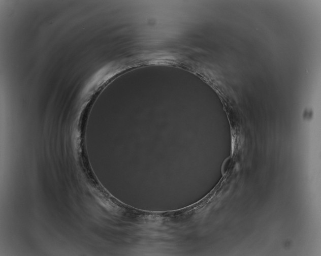 X0000101400339200807141202