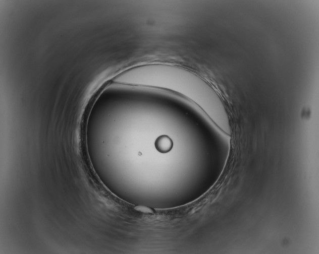 X0000101400340200807141202