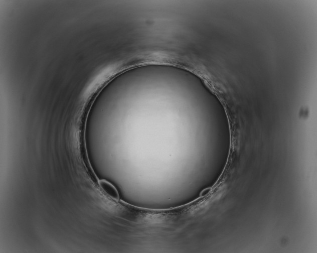 X0000101400341200807141202