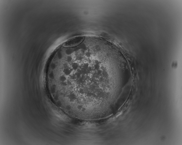 X0000101400343200807141202