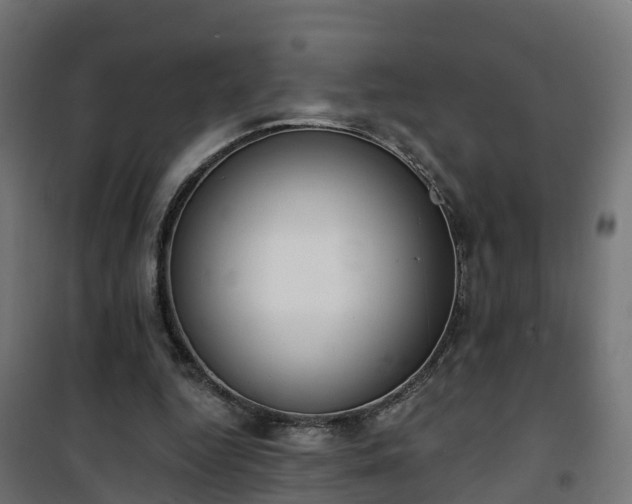 X0000101400344200807141202