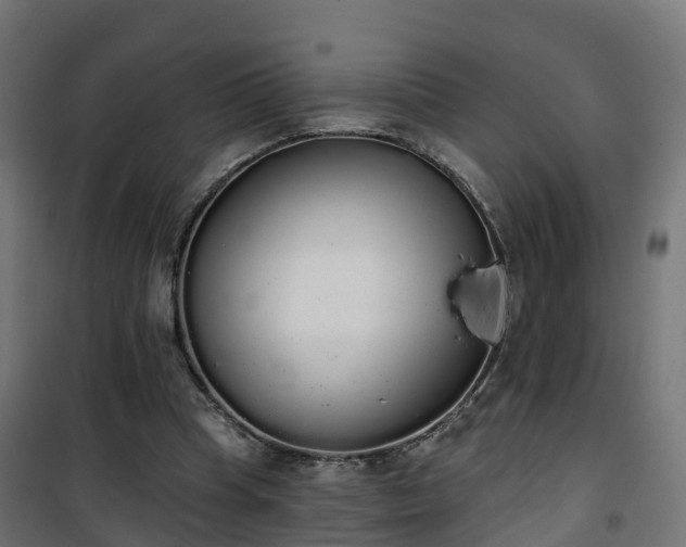 X0000101400345200807141202