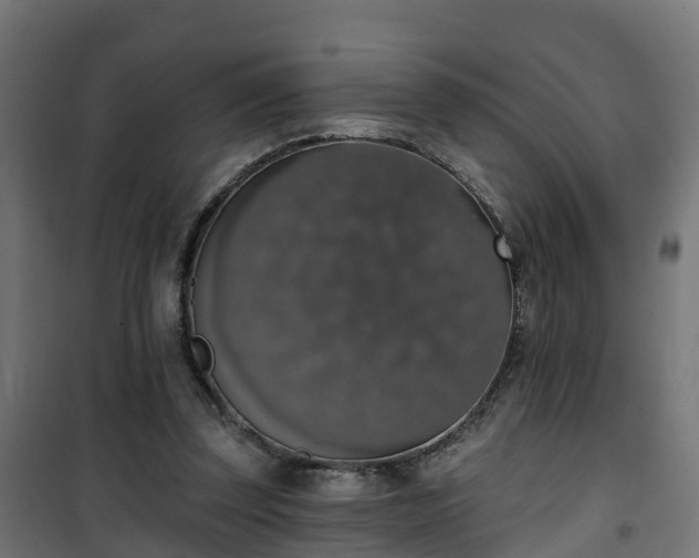 X0000101400347200807141202