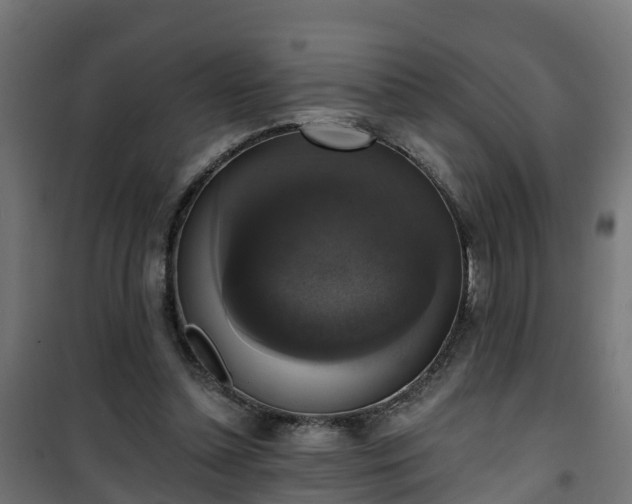 X0000101400348200807141202