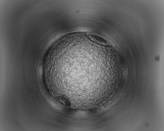 X0000101400350200807141202