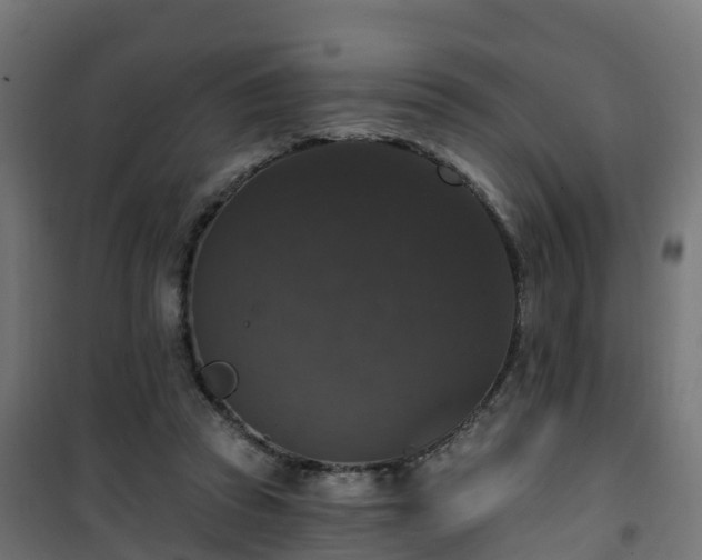 X0000101400353200807141202