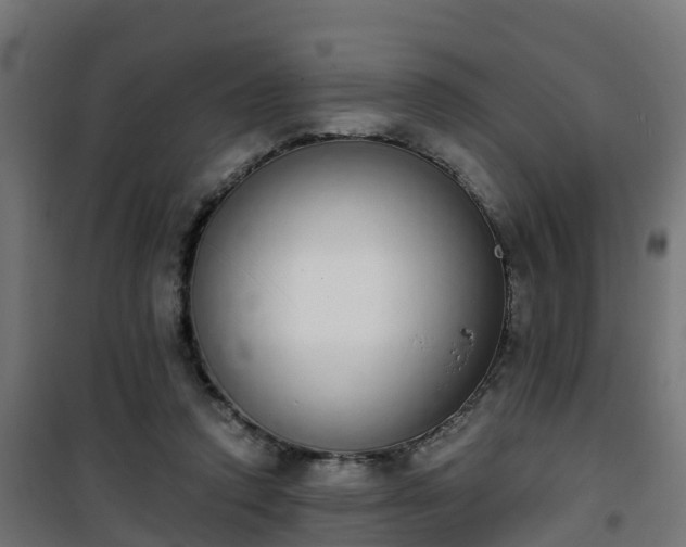 X0000101400354200807141202