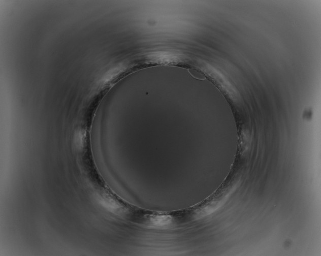 X0000101400355200807141202